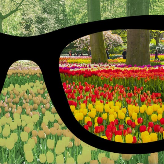 واکنش پسری که برای اولین بار رنگ ها را می بیند