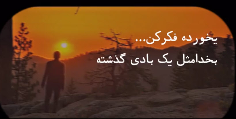 خیلی ها شبیه انسان زندگی نمی کنند!