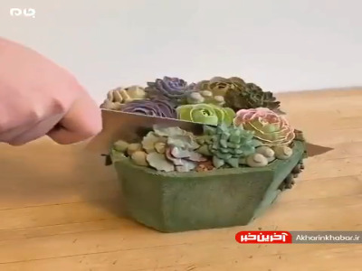 اجسامی که خوردنی هستند!