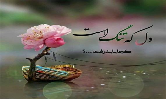 شاعرانه/"دل که تنگ است کجا باید رفت؟ " از فریدون مشیری