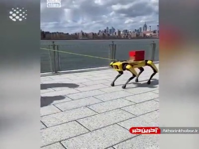 رباتی شبیه به سگ!