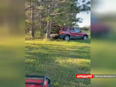 انتقام مادر طبیعت!