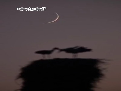 وداع عاشقانه لک‌لک‌ها با هلال ماه نو در روستای کپر جودکی