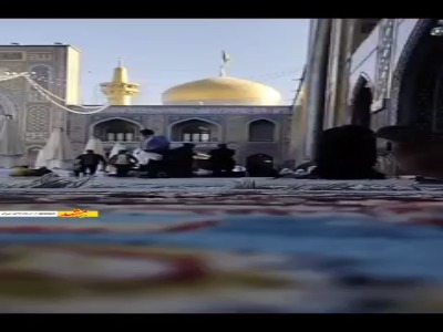 کبوترانی که مهمان بهشت مشهد هستند!