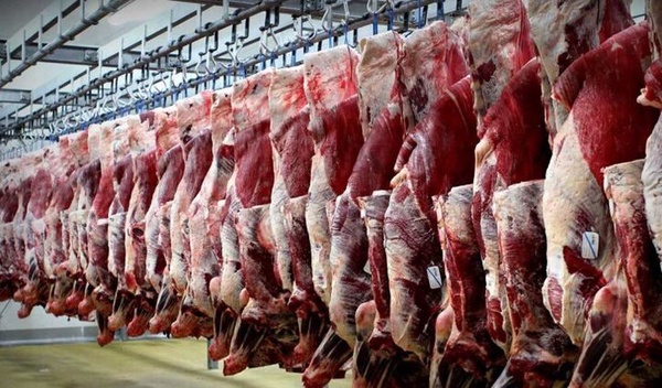 رئیس اتحادیه: دست‌های پشت پرده عامدانه قیمت گوشت را در مغازه‌ها بالا می‌برند
