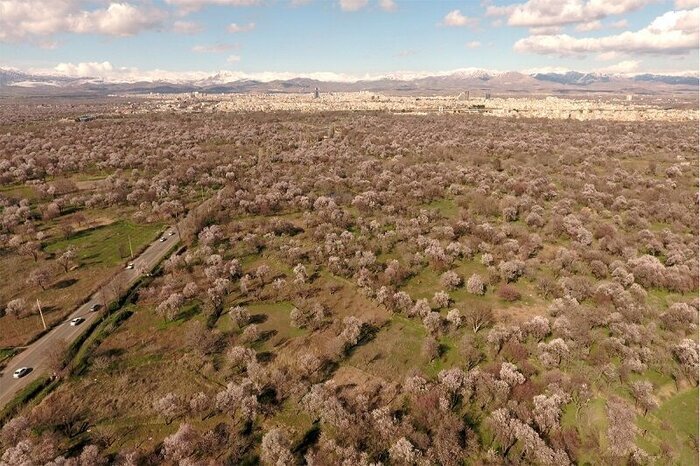 ثبت جهانی باغستان قزوین در میراث کشاورزی