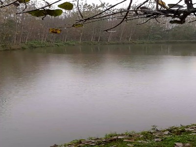 آغاز بارشِ باران در غربِ صومعه‌سرا