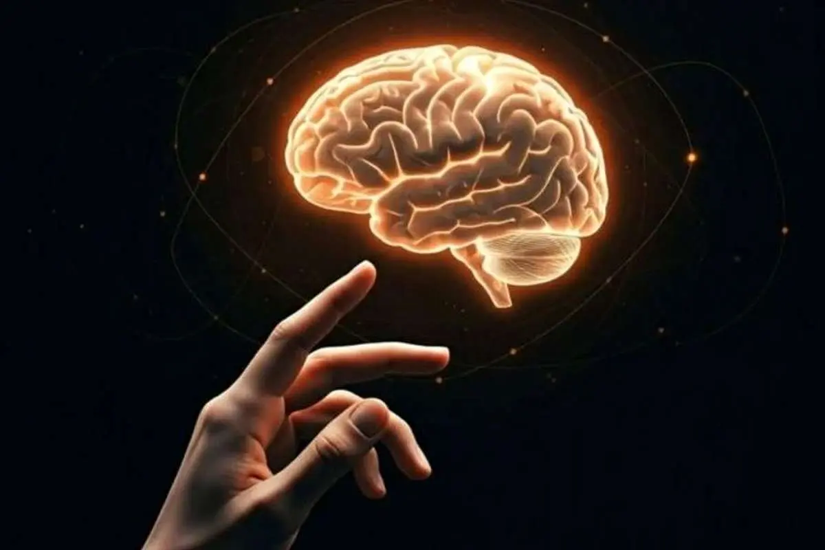 اعتیاد از نگاه مغز؛ چرا تجربه اول مهم است؟!