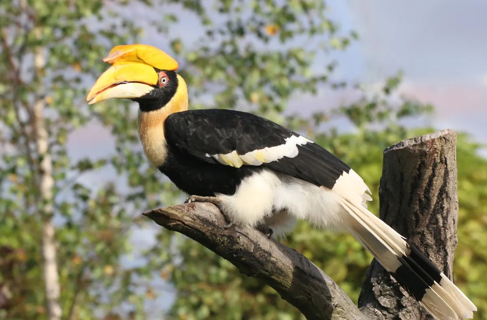 ایران پرسمان
