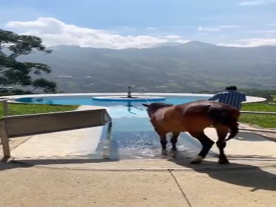 استخر درمانی مخصوص اسب ها