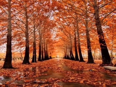 ارومیه در پاییزِ رنگارنگ