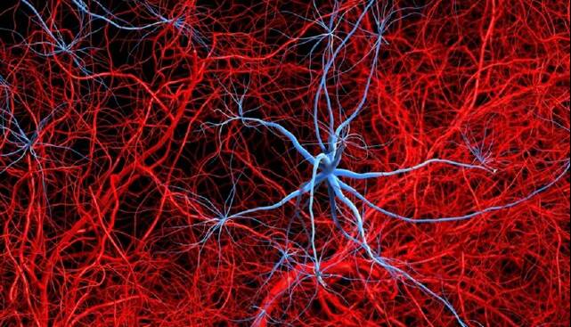 آلزایمر با تخریب عصب‌ها در بافت چربی، فراتر از مغز اثر می‌گذارد