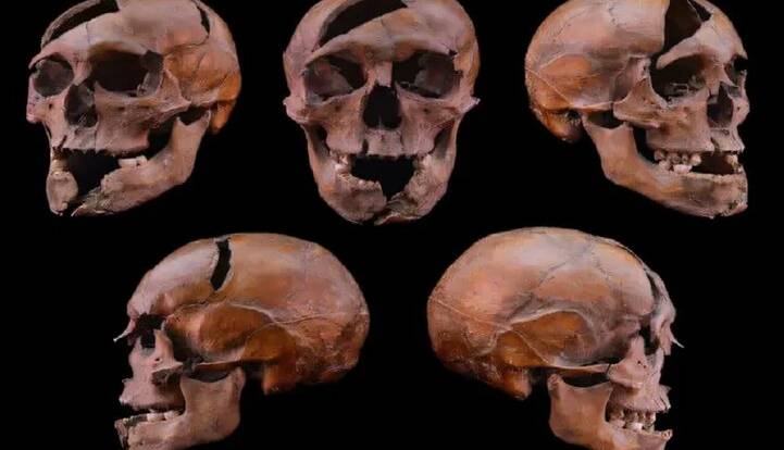 بررسی ژنتیکی، راز قتل دوک جوان را پس از ۷ قرن فاش کرد