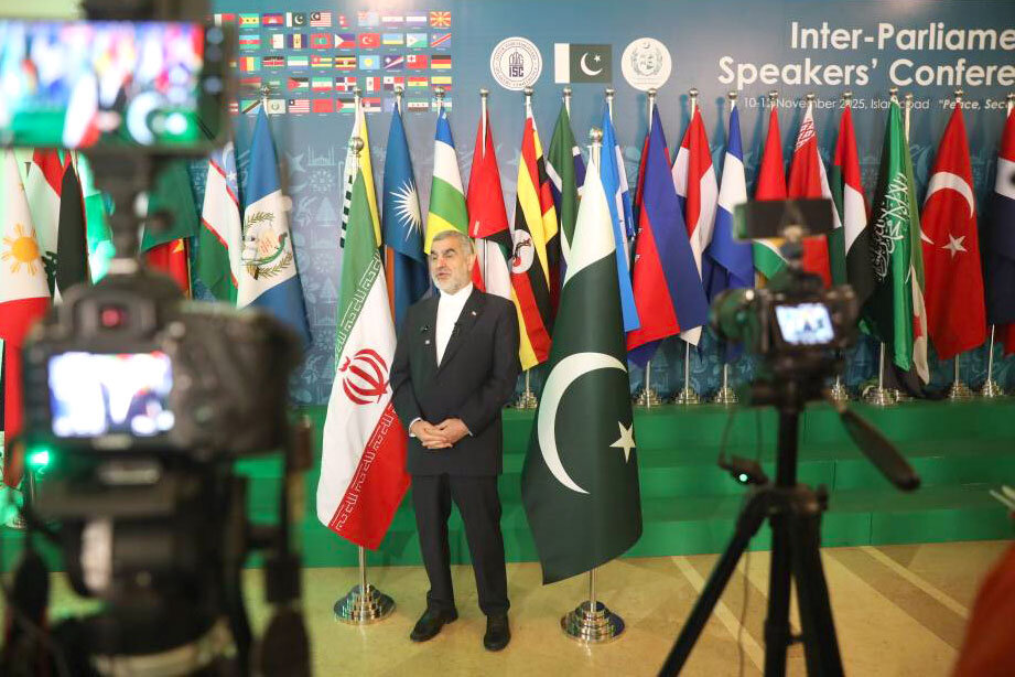 نیکزاد در گفتگو با الجزیره: ایران هیچ زمانی از انرژی هسته ای دست نخواهد کشید