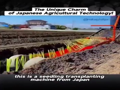 دستگاه نشاگر ساخت ژاپن با ۲۶۴ نشاء در دقیقه!