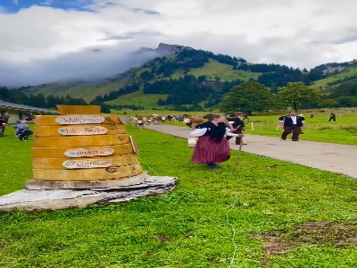 بازگشت رنگارنگ دام‌ها از ارتفاعات آلپ