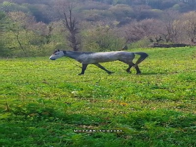 زیبا مانند رودبار...