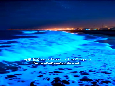 نورپردازان زنده اقیانوس ها