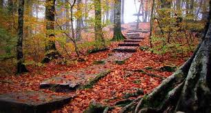 پاییز زیبای نمک آبرود