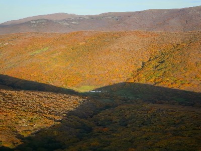 با ما از جنگل و پاییز و آتیش حرف بزن !