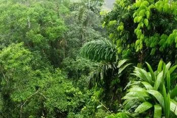 4 گوشه دنیا / شگفتی های جنگل آمازون، ریه های کره زمین