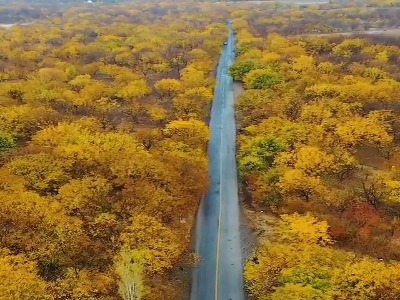 پاییز زیبای تویسرکان ، همدان