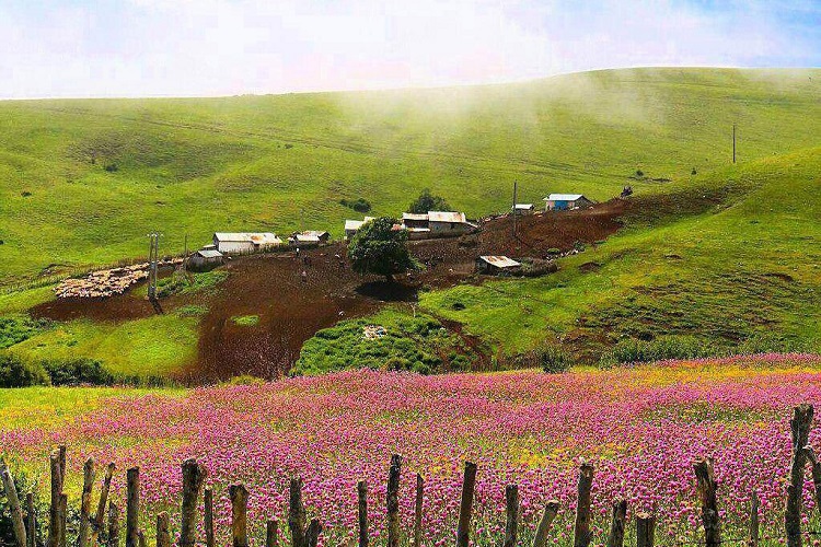 ایران پرسمان