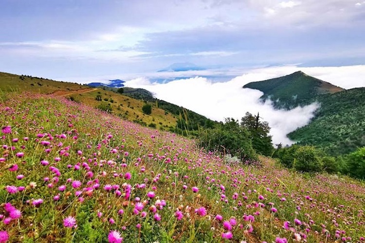 ایران پرسمان