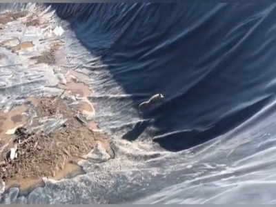 نجات روباه گرفتار از استخر ذخیره آب در خلخال