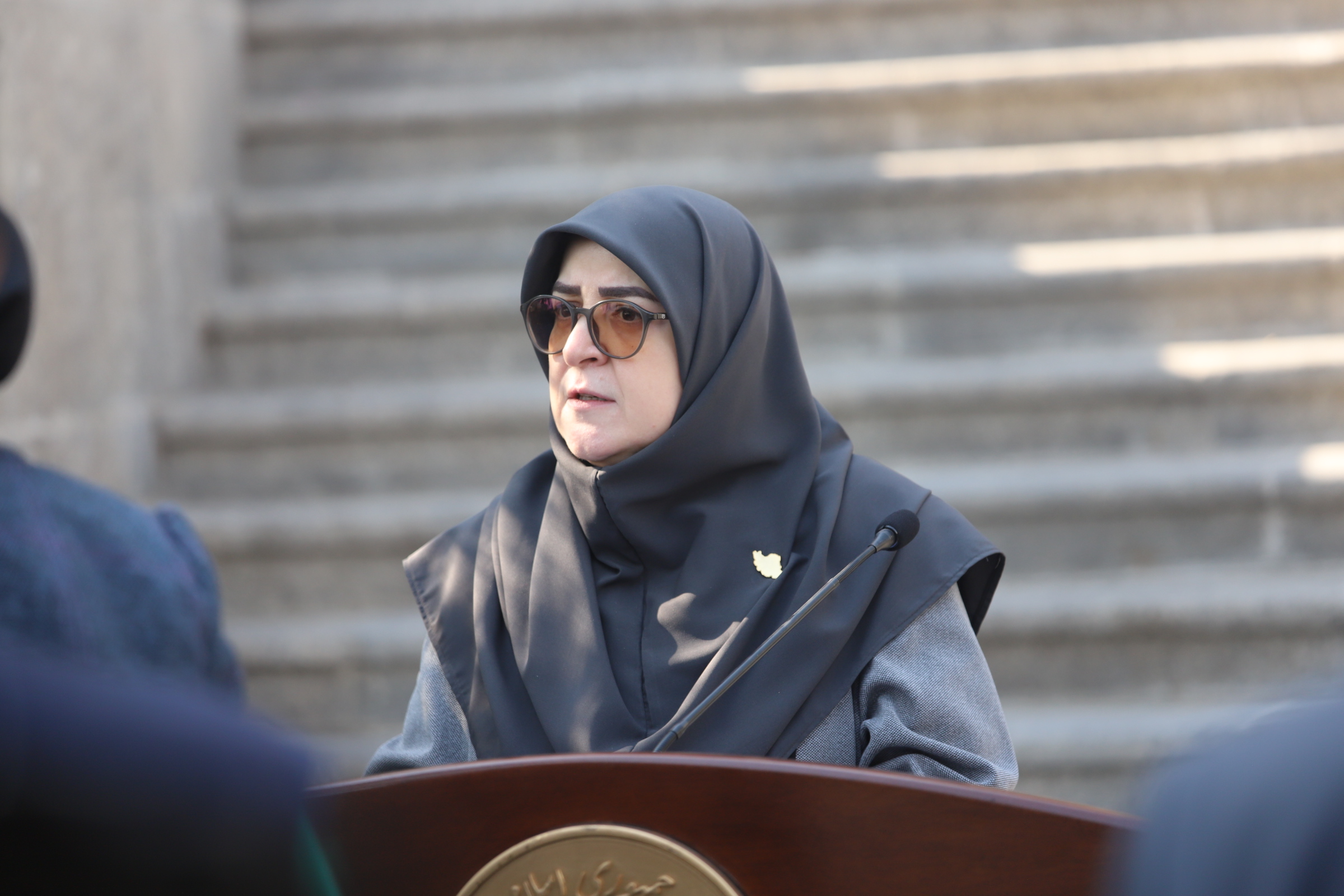 توضیحات مهاجری درباره جزئیات جلسه هیات دولت