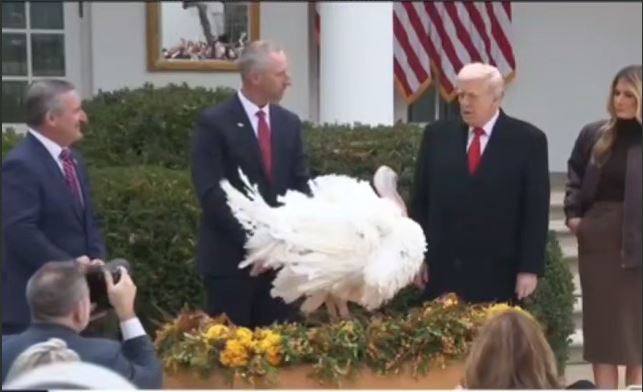 ترامپ صدای بوقلمون را تقلید کرد!