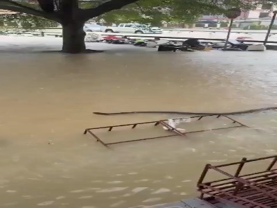 ظاهر شدن مار عظیمی در سیل تایلند