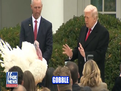 شوی تبلیغاتی ترامپ با طعم بوقلمون‌