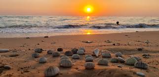 غروب زیبای ساحل سیراف