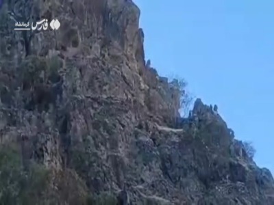 پرش‌های دیدنی کل و بزها در دل صخره‌های پاوه