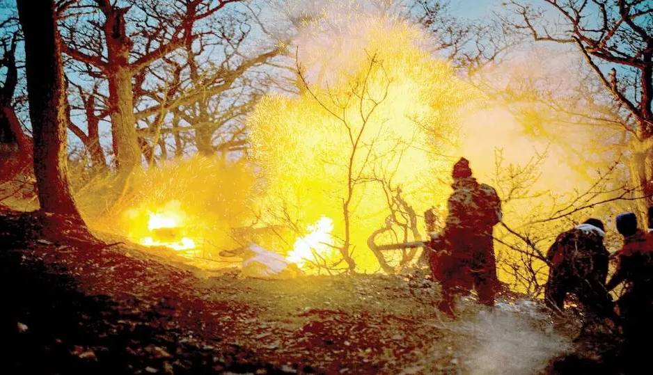 مافیای چوب پشت پرده آتش‌سوزی؟