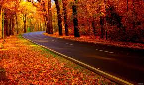 جاده چالوس در آغوشِ پاییز