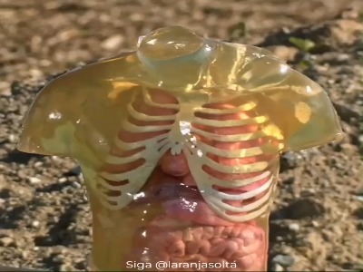 شبیه سازی برخورد یک گلوله تفنگ کالیبر ۵۰ به سینه انسان!