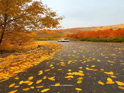 زیبایی پاییز در جاده‌های کردستان