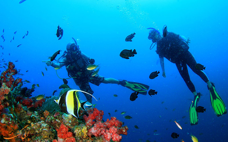 جزیره کورون در فیلیپین ،ربهشتی برای علاقه مندان به غواصی و غواصی