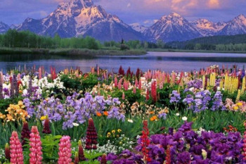 گردشگری/معرفی ۱۰ شهر پر توریست در ایران