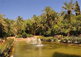 باغ گلشن طبس ؛عروس زیبای کویر در خراسان جنوبی