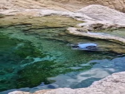 یکی از شفاف‌ترین حوضچه‌های ایران در استان هرمزگان