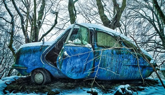 گوناگون/زیبایی وهم‌آلود خودروهایی که به تصرف طبیعت درآمده‌اند