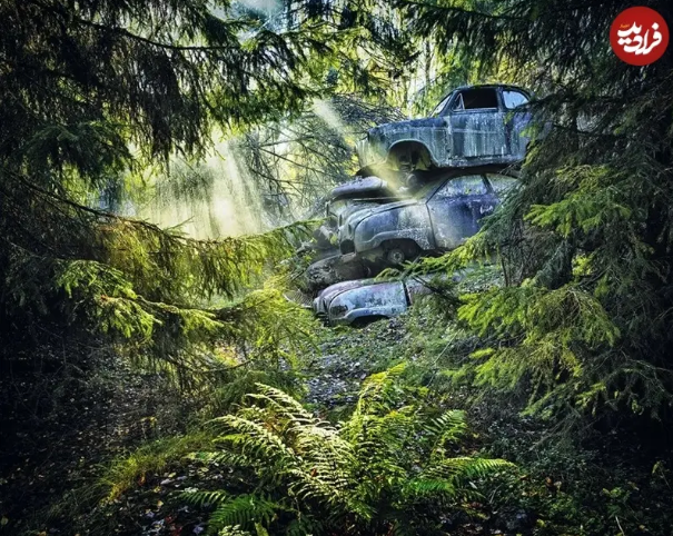 ایران پرسمان