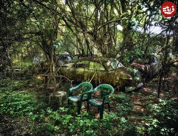 ایران پرسمان