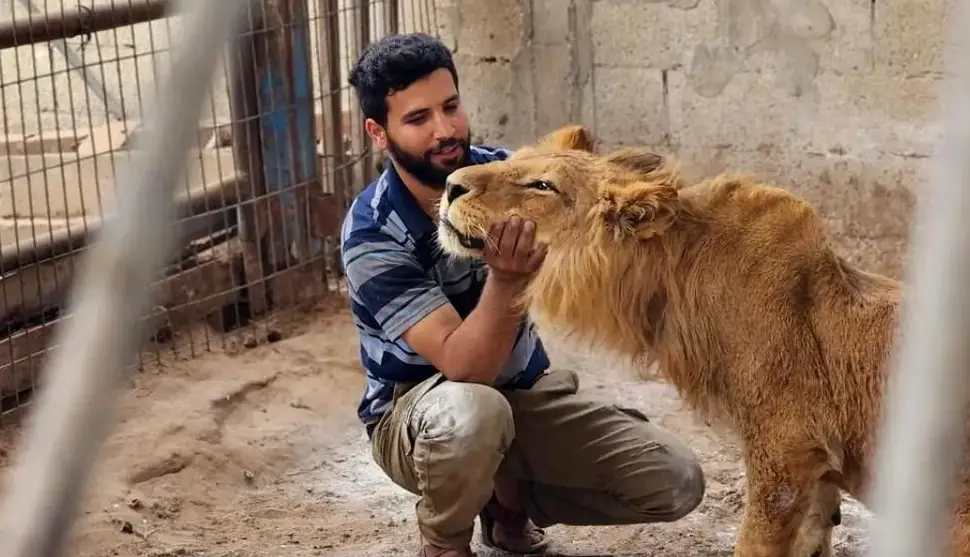 آخرین وضعیت سیمبای غزه