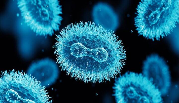 هوش مصنوعی پاشنه آشیل آبله میمونی را پیدا کرد