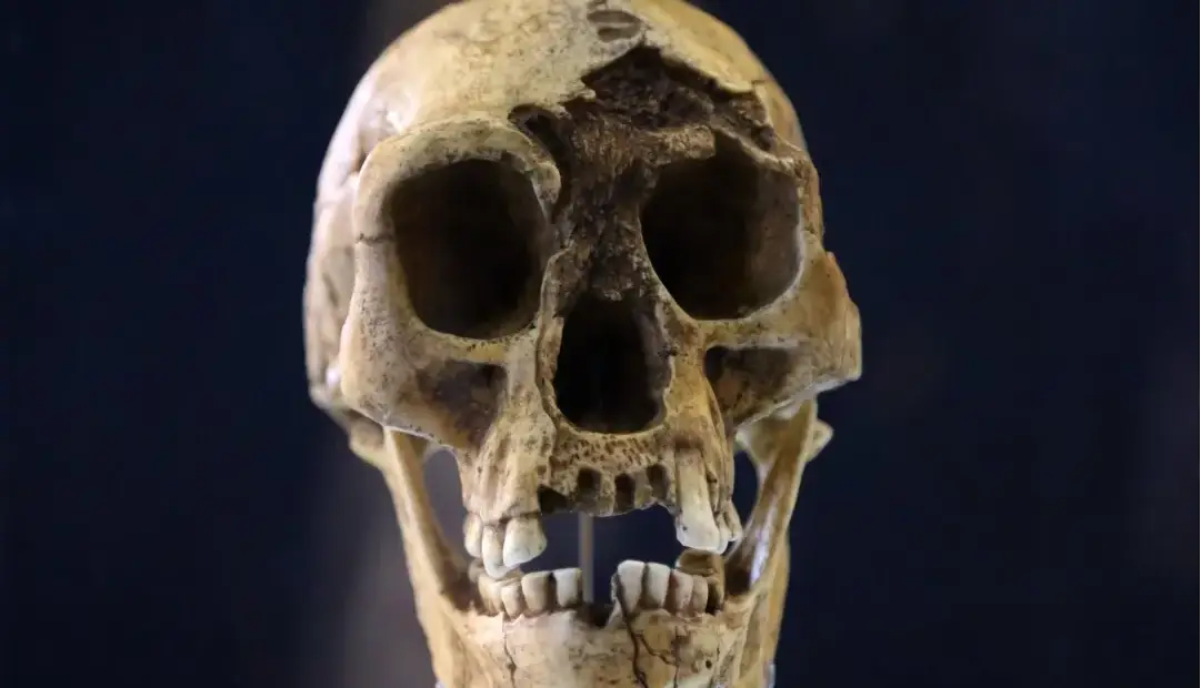 خشکسالی، گرسنگی و مواجهه با انسان خردمند، آخرین فصل زندگی هابیتها را رقم زد