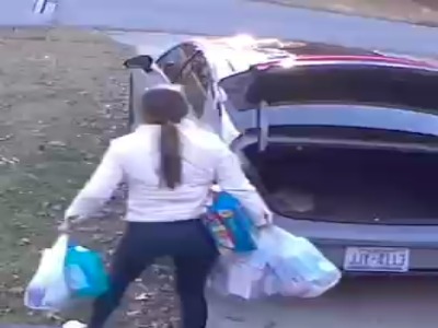 یک عدد تنبل واقعی!